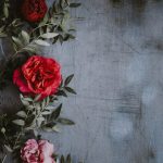 49+ Absolutely Beautiful Roses Wallpaper Backgrounds For iPhone: We did a round up of some of the best floral wallpapers for your iPhone.