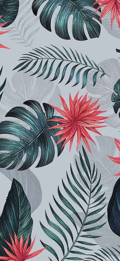 60+ Latest High Quality iPhone 11 Wallpapers & Backgrounds for Everyone | Designbolts