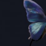 Atmospheric Butterfly Background Poster