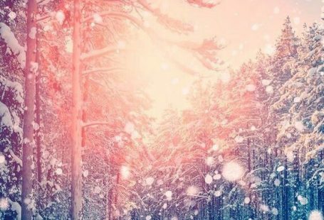 Best Ideas About Pretty Phone Wallpaper On Pinterest