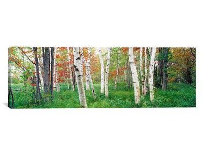 Features:Panoramic collectionIncludes hanging accessoriesMade with 100% cotton canvas100% Anti-shrink pine wood bars and Epson anti-fade ultra chrome inks100% Hand-made and inspected in the U.S.A. Product Type: Gallery-Wrapped Canvas GicléePrint Type: Photographic PrintPrimary Art Material: CanvasPrimary Art Material Details: Artist-grade cotton/poly canvasColor: White;Earls Green;Celery;Swamp Green;GreenTotal Number of Pieces Included: 1Pieces Included: Artist: Panoramic ImagesOrientation: HorizontalSize (Size: 12