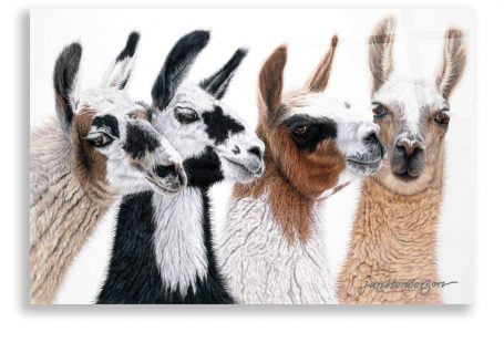 Epic Art 'Peruvian Visitors' by Jan Henderson, Acrylic Glass Wall Art - 24x16