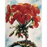 Size: 24x18in GeraniumWe have more Joan Thewsey Posters. Choose from our catalog of over 500,000 posters! Geranium, (watercolour), Thewsey, Joan / Private Collection / Bridgeman Images Joan Thewsey studied at the Slade School of Art and founded The Five Women Artists Plus group in Suffolk along with Brenda Brin Booker. The group creates opportunities for women