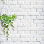 Pequeño Fondo Fresco Background H5