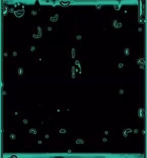 Rain Drop effect template download link for kinemaster