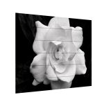 Wooden Slat Art 18 x 22 Inches Titled Gardenia in Black and White Ready to Hang Home Decor Picture Artist: Kurt Shaffer Printed on Hardwood Planks 18 x 22 Inches Ready to Hang