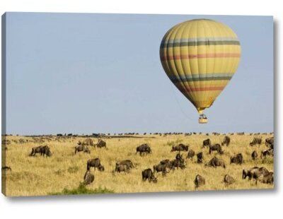 This wall art is created on the finest quality artist-grade canvas, utilizing premier fade-resistant archival inks that ensure vibrant lasting colors for years to come. Every detail of the artwork is reproduced to museum quality specifications by our talented graphic artists. The gallery wrap process allows you to hang the artwork on your wall frameless since the printed border is wrapped around all four edges. Your gallery-wrapped canvas print will arrive at your door ready to hang with all necessary hanging hardware.