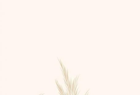 fondos 🧚‍♀️🤍