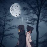(notitle)