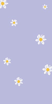 margaritas pequeñas,fondo morado,flores blancas,fondo de pantalla del teléfono,lindo fondo,flores,margarita