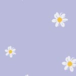 Small Daisy Purple Mobile Phone Wallpaper Background