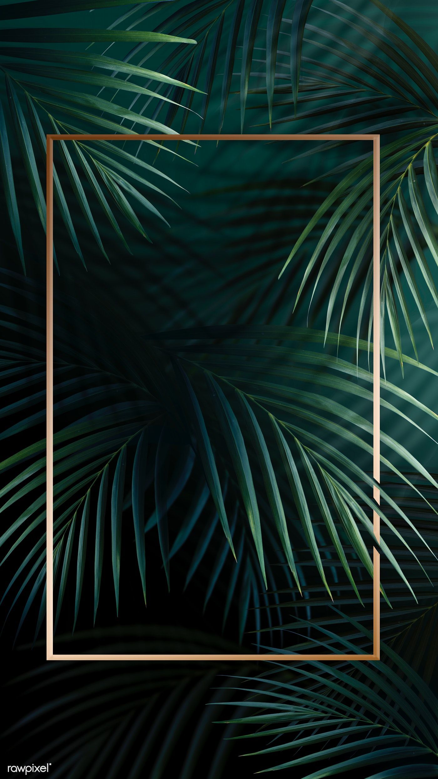 Rectangle golden frame on a tropical background | premium image by <a href=