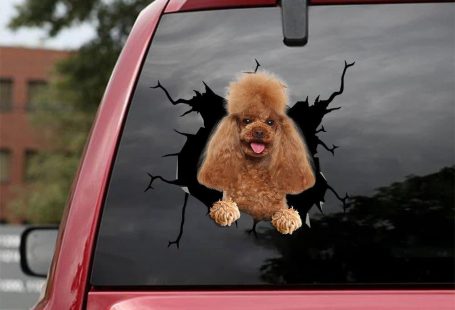 Personalize and decorate your car, truck, window, and many more with this premium decal. It is recommended for both outdoor and indoor use. Custom decal and show off your