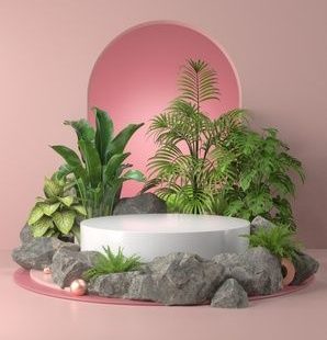 Premium Photo | 3d rendering of podium and plant.