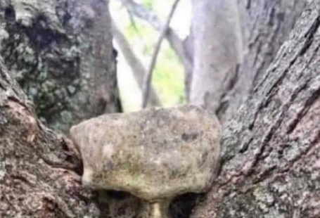 25 Kinky Sex Memes That Hit the Spot