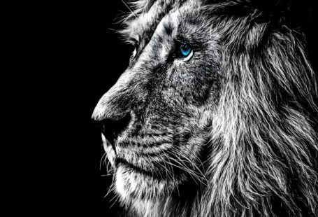 16 Adorable iPhone Animal Wallpaper HD - The One Percent