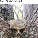 25 Kinky Sex Memes That Hit the Spot