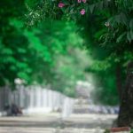 Edit Image Background Online - Use Online Photo Editor to Change Background of Photo / In the Online Photo Background Changer, Simply Click on the Eraser and Start Refining Your Image. - Paperblog