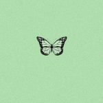 green aesthetic butterfly wallpaper 💚🦋