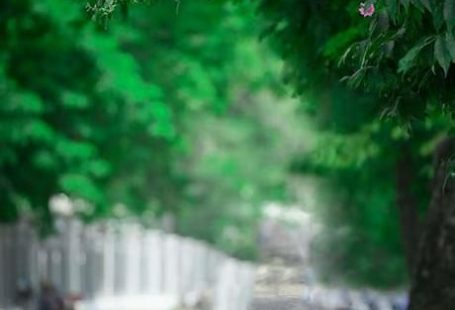 Edit Image Background Online - Use Online Photo Editor to Change Background of Photo / In the Online Photo Background Changer, Simply Click on the Eraser and Start Refining Your Image. - Paperblog