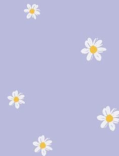 small daisies,purple background,white flowers,phone wallpaper,cute background,flowers,daisy