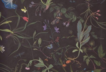 Zachari Logan - Pool 5