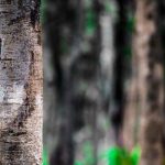 Photo Editing Hd Backgrounds