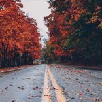 Are you looking for some fall wallpapers for iPhone in HD quality? I have a collection of the best autumn backgrounds for free download!