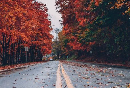 Are you looking for some fall wallpapers for iPhone in HD quality? I have a collection of the best autumn backgrounds for free download!