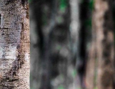 Photo Editing Hd Backgrounds