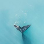 20 Lovely Summer Phone Wallpapers