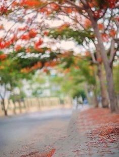 HD BLUR BACKGROUND FOR PHOTO EDITING I PICSART & PHOTOSHOP
How to change background picsart in tamil