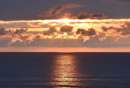 Discover the latest trends and styles of women