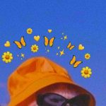 Pin de Nim rodrigues em Aestethic | Fotos de animais engraçados, Papel de parede de gato, Fotos de animais