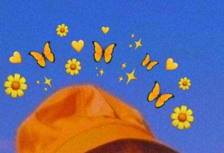 Pin de Nim rodrigues em Aestethic | Fotos de animais engraçados, Papel de parede de gato, Fotos de animais