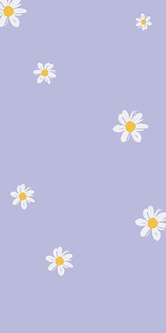 small daisies,purple background,white flowers,phone wallpaper,cute background,flowers,daisy