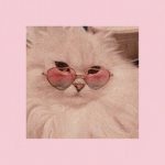 ˚✧˖° ͎☁━━ ̥◌୭˚