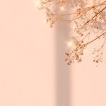 Download free image of Dried flower window shadow floral background by Ning about wallpaper, flower background, flower, aesthetic flower, and phone wallpaper 2685489