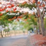 HD BLUR BACKGROUND FOR PHOTO EDITING I PICSART & PHOTOSHOP
How to change background picsart in tamil