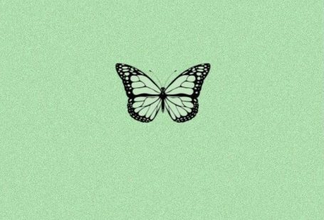 green aesthetic butterfly wallpaper 💚🦋
