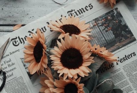 (notitle)