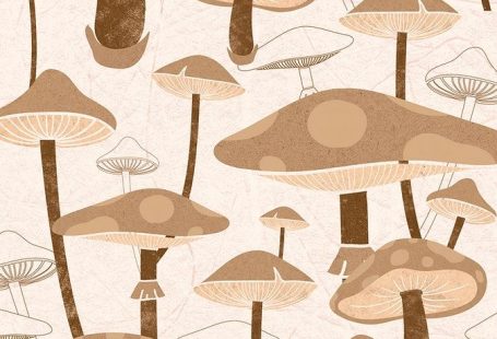 Download premium image of Psychedelic mushroom pattern mobile wallpaper, brown design by Hein about cottagecore, mushroom, fungi, psychedelic mushroom, and iphone wallpaper 4155184