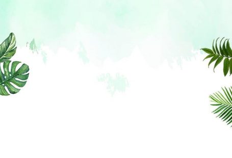 Minimalistic Background Atmospheric Background Green Green Background