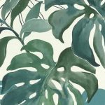 Green Watercolor Jungle Ferns Botanical Wallpaper R6169