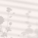 Free Vector | Aesthetic phone wallpaper background vector, leaf shadow with natural light