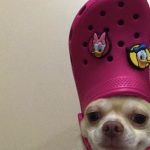 Me when i talk to my friends: