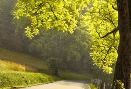 Time Magazine Features the Smoky Mountains to Celebrate 100 Years of the National Park Service