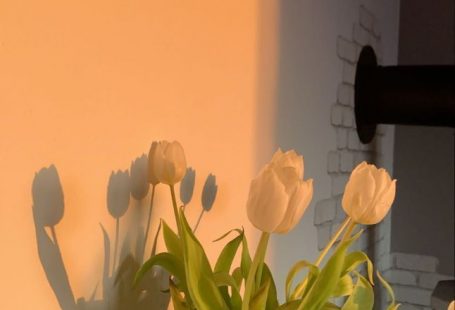 not my photo, follow me @thehoodfairy