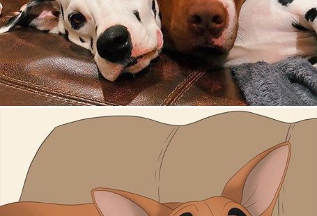 Artist-Turns-Pets-Disney-Characters-Pet-Disneyfication