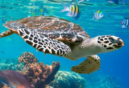 45+ Beautiful Free Summer Wallpapers For iPhone - Teens Society